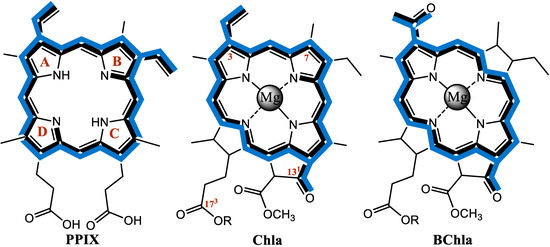 Molecules 19 15938 g001 550