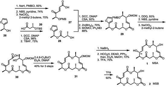 Molecules 19 15982 g004 550