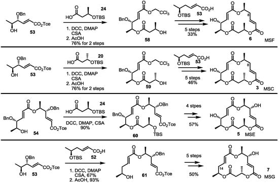 Molecules 19 15982 g009 550