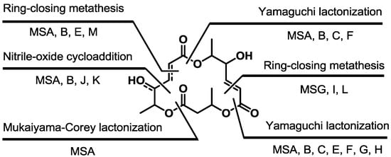 Molecules 19 15982 g024 550