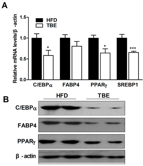 Molecules 19 16013 g002 550