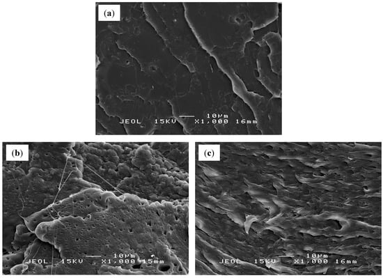 Molecules 19 16024 g007 550