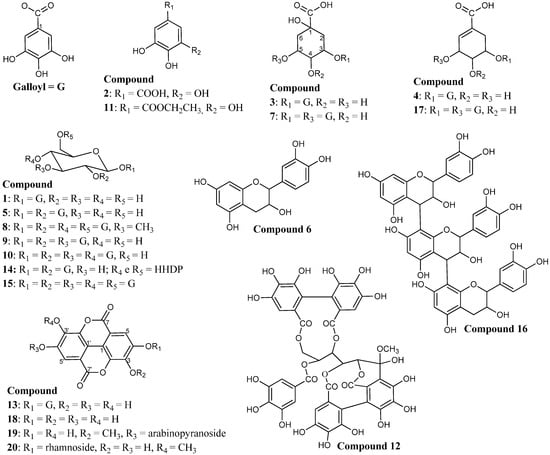Molecules 19 16039 g001 550