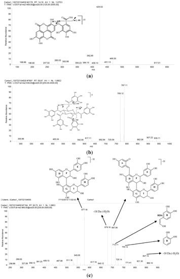 Molecules 19 16039 g002 550