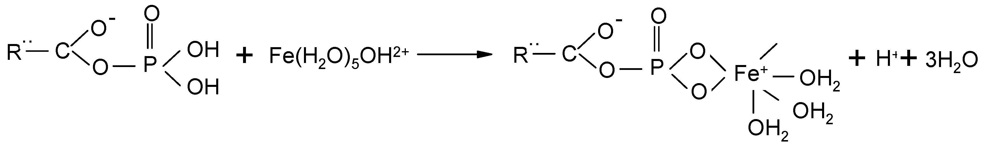 Molecules 19 16082 g015