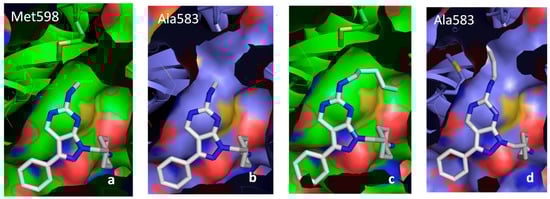 Molecules 19 16223 g008 550