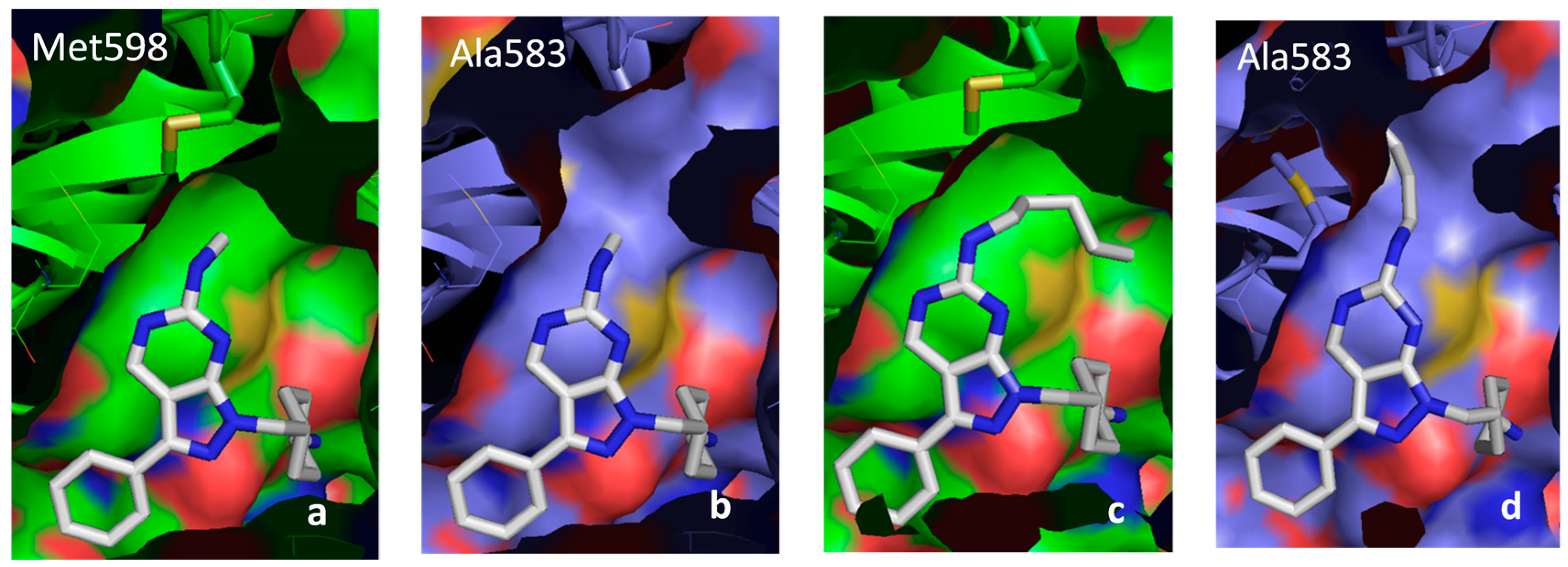 Molecules 19 16223 g008