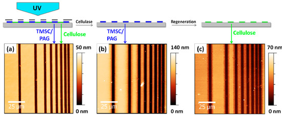 Molecules 19 16266 g003 550