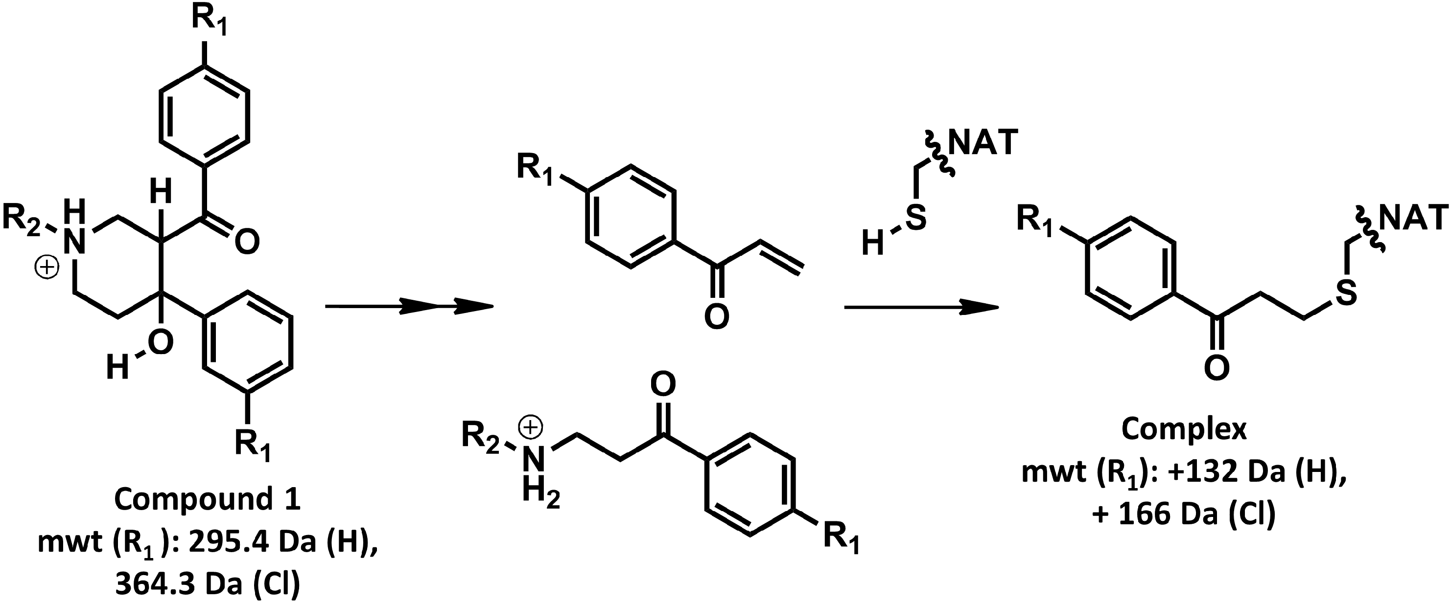 Molecules 19 16274 g002