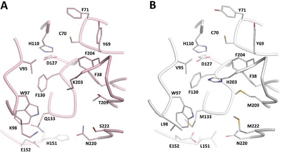 Molecules 19 16274 g003 550