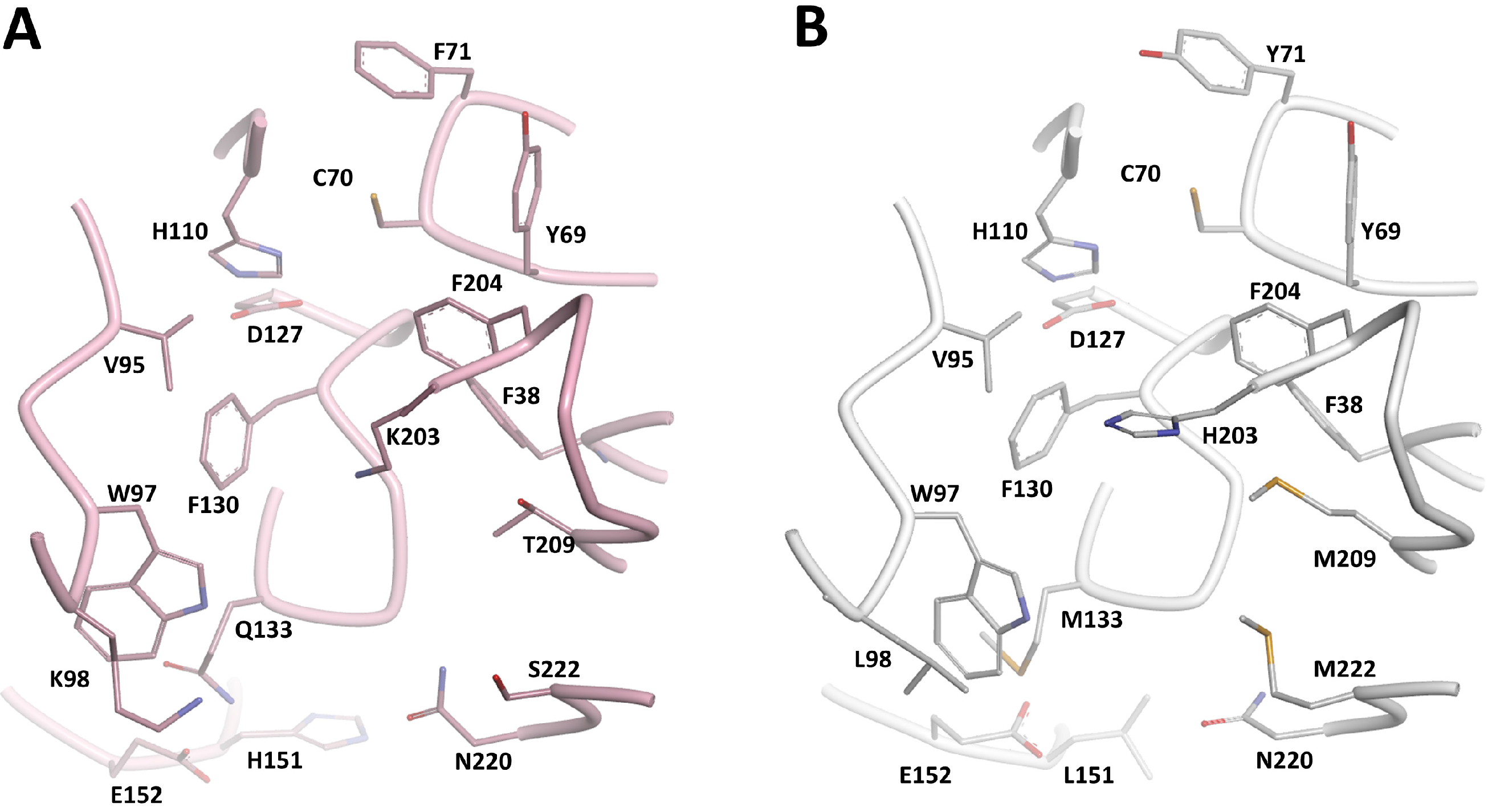 Molecules 19 16274 g003