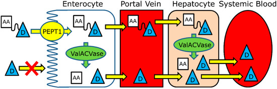 Molecules 19 16489 g004 550