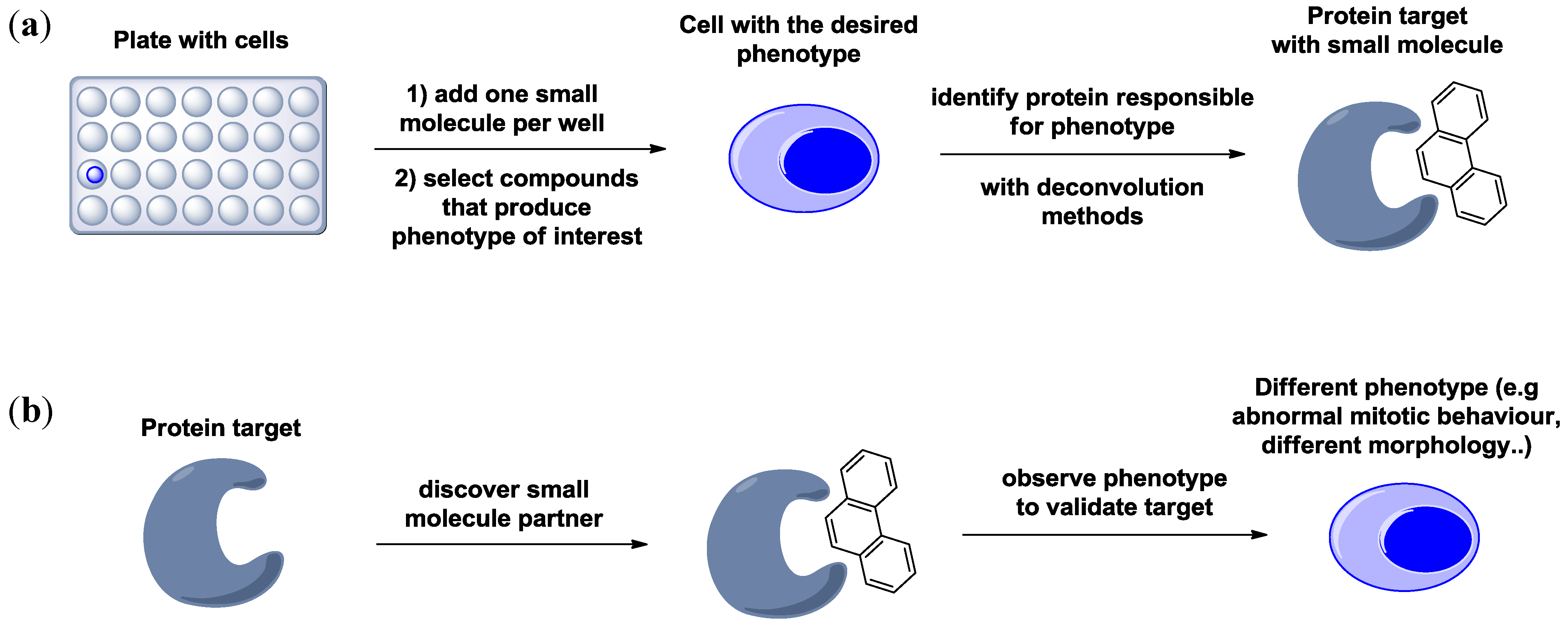 Molecules 19 16506 g001