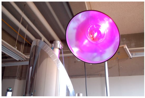 Molecules 19 16624 g013 550