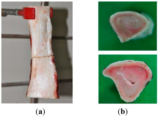 Molecules 19 16779 g011 550