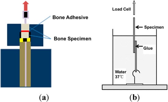 Molecules 19 16779 g013 550