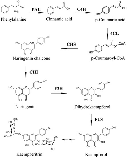 Molecules 19 16987 g003 550