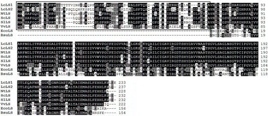 Molecules 19 17141 g002 550