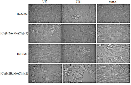 Molecules 19 17202 g001 550