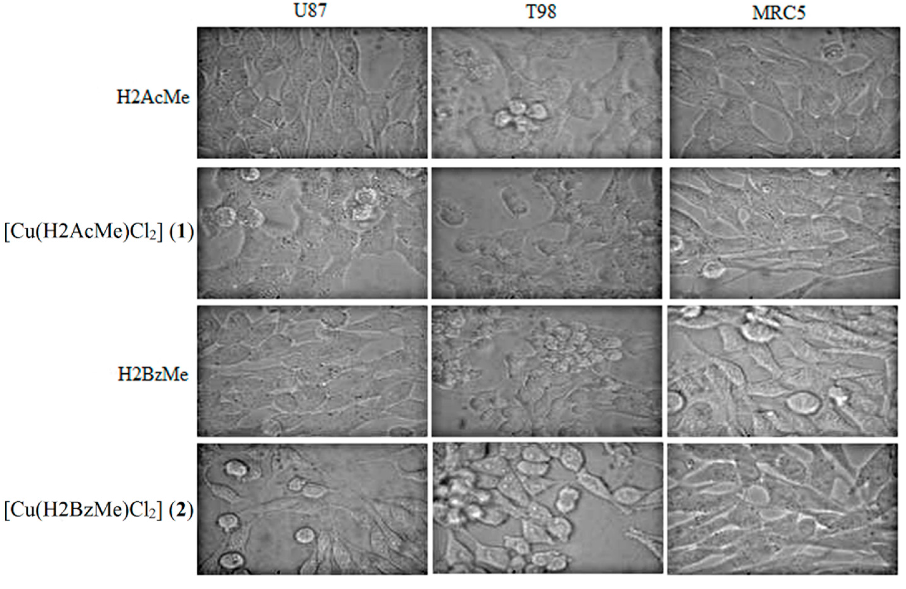 Molecules 19 17202 g001