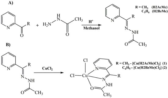 Molecules 19 17202 g010 550