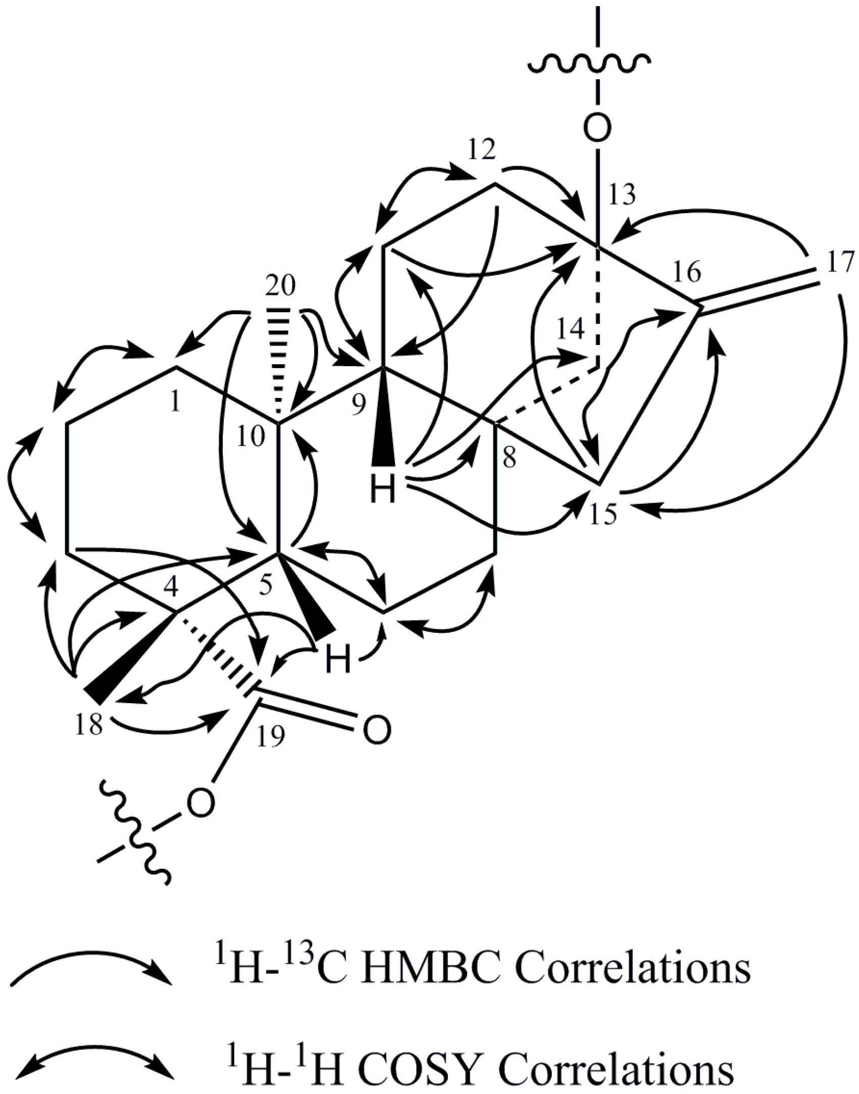 Molecules 19 17345 g004