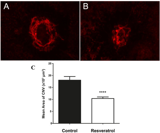 Molecules 19 17578 g001 550