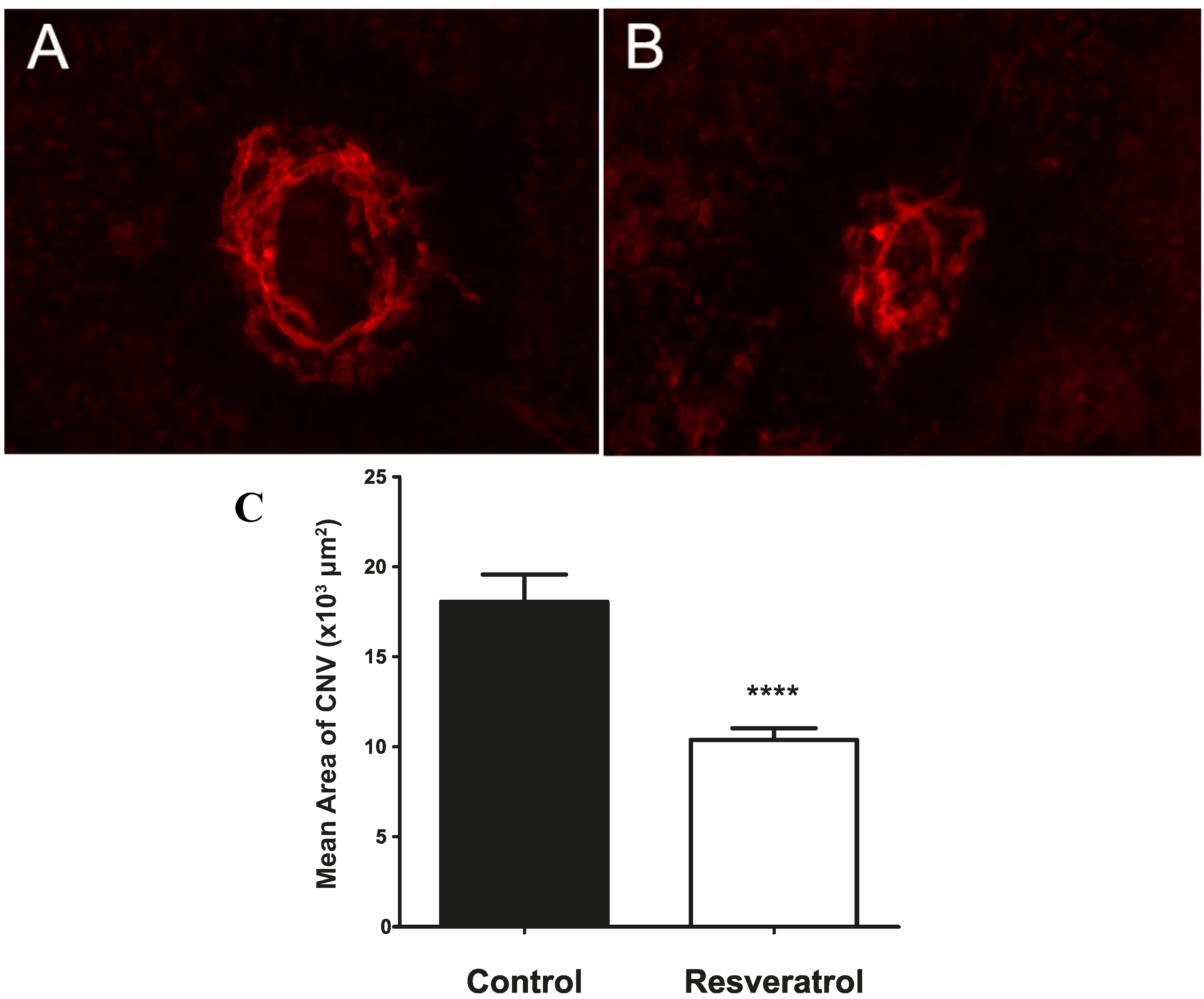 Molecules 19 17578 g001