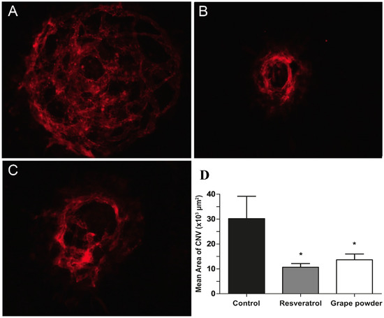 Molecules 19 17578 g002 550