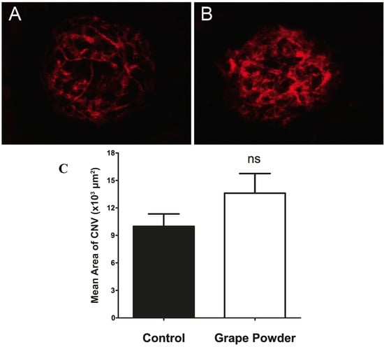Molecules 19 17578 g004 550