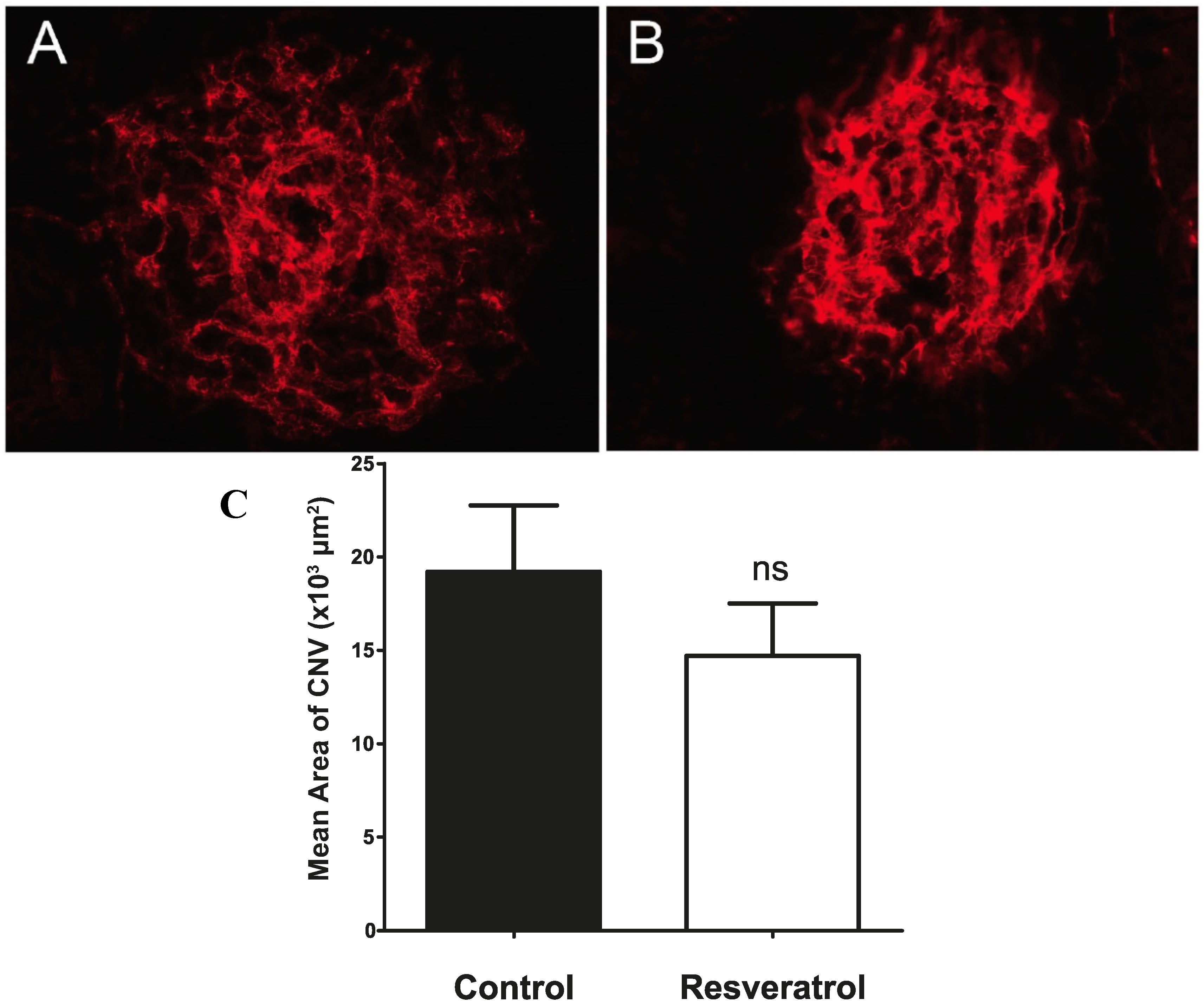 Molecules 19 17578 g005