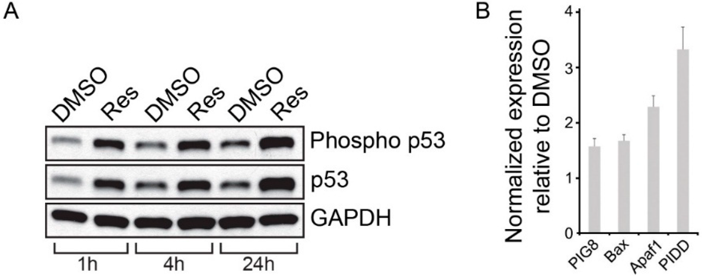 Molecules 19 17578 g007