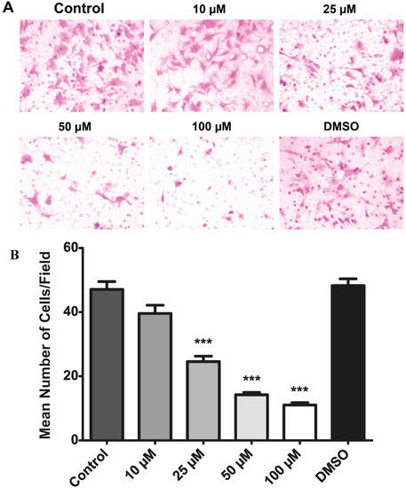 Molecules 19 17578 g008 550