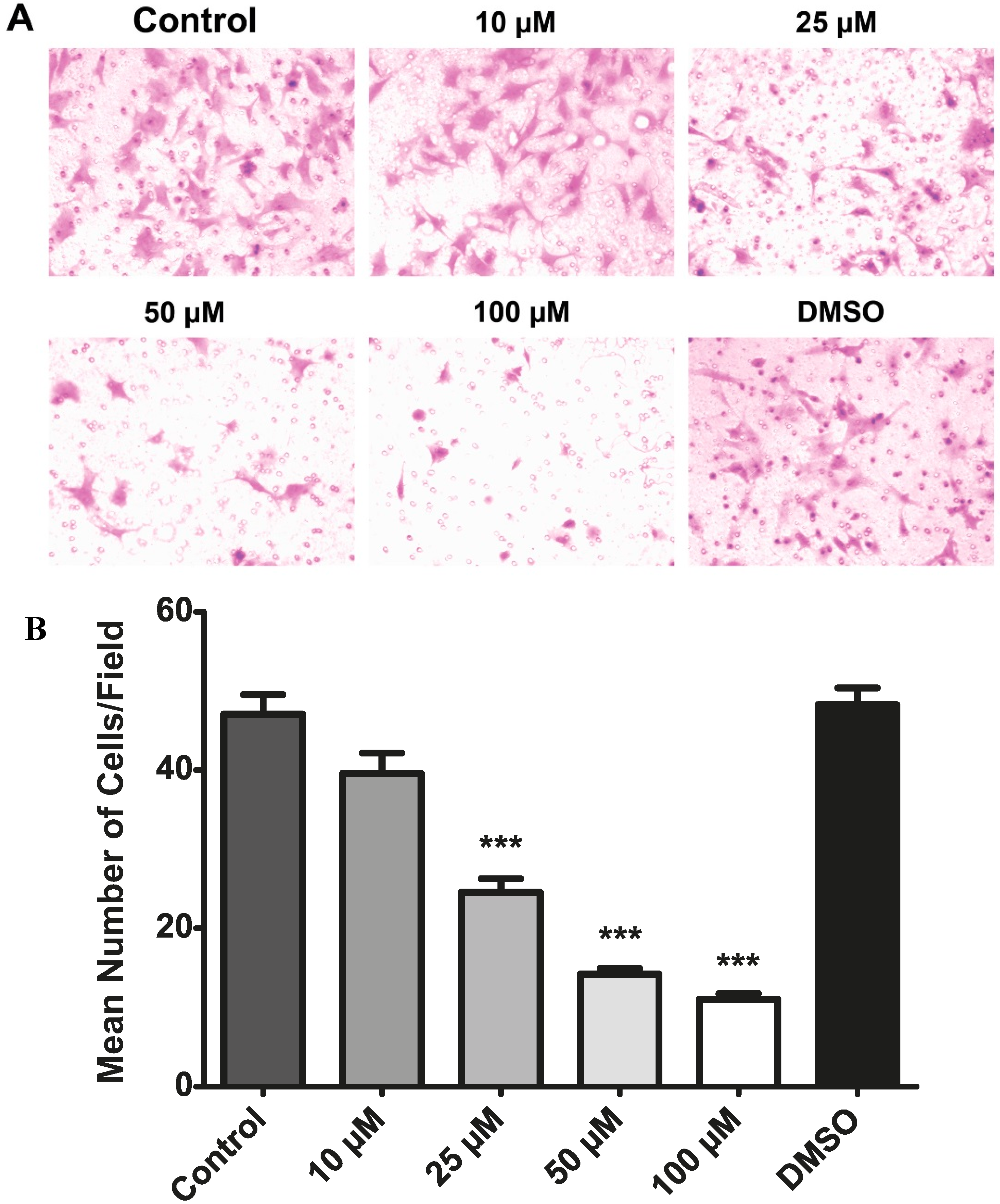 Molecules 19 17578 g008