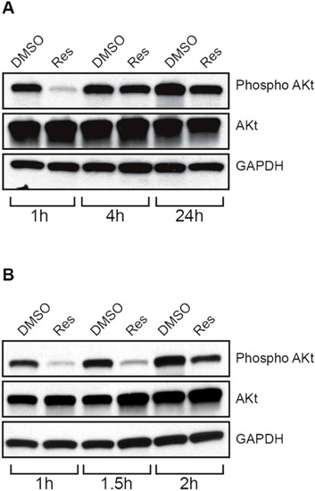 Molecules 19 17578 g009 550