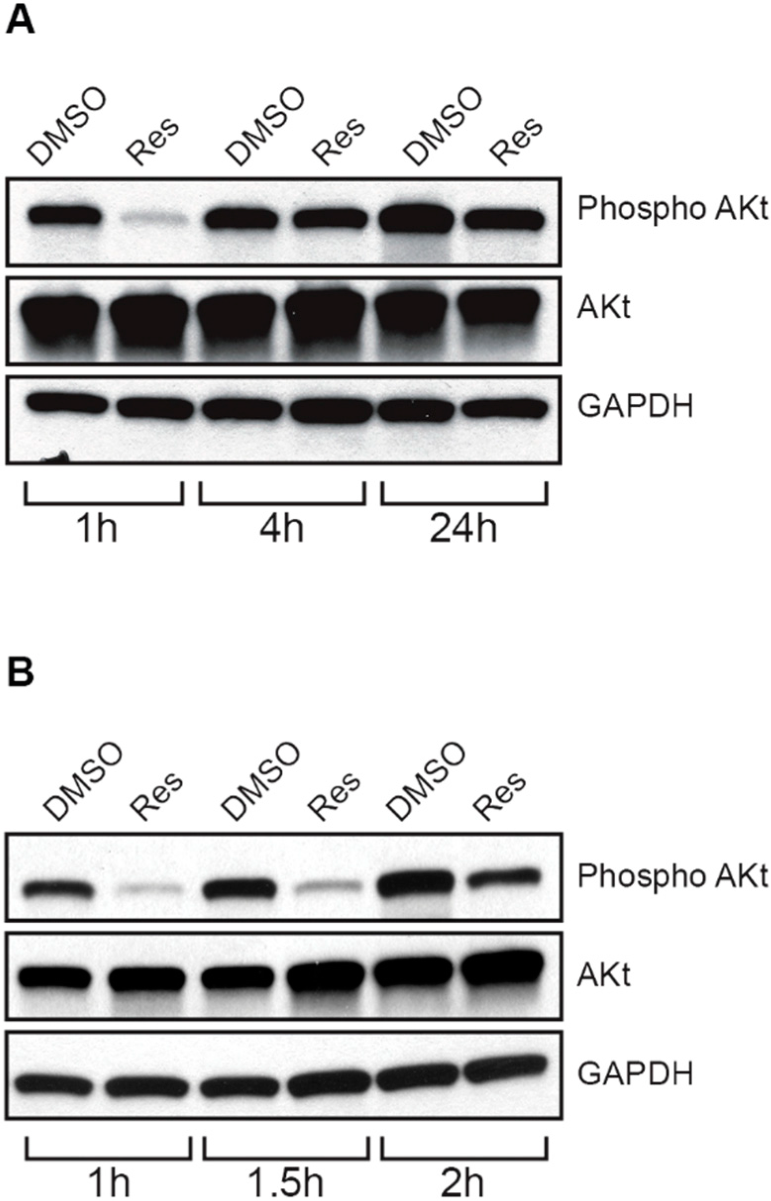 Molecules 19 17578 g009