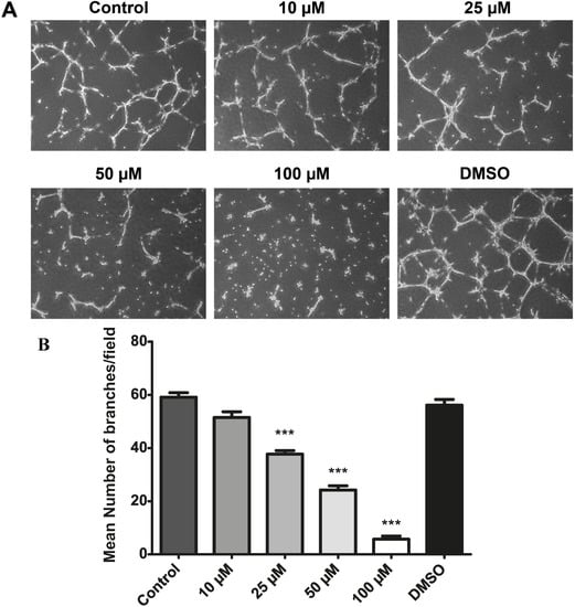 Molecules 19 17578 g010 550