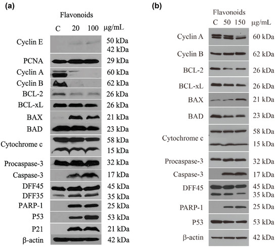 Molecules 19 17663 g008 550