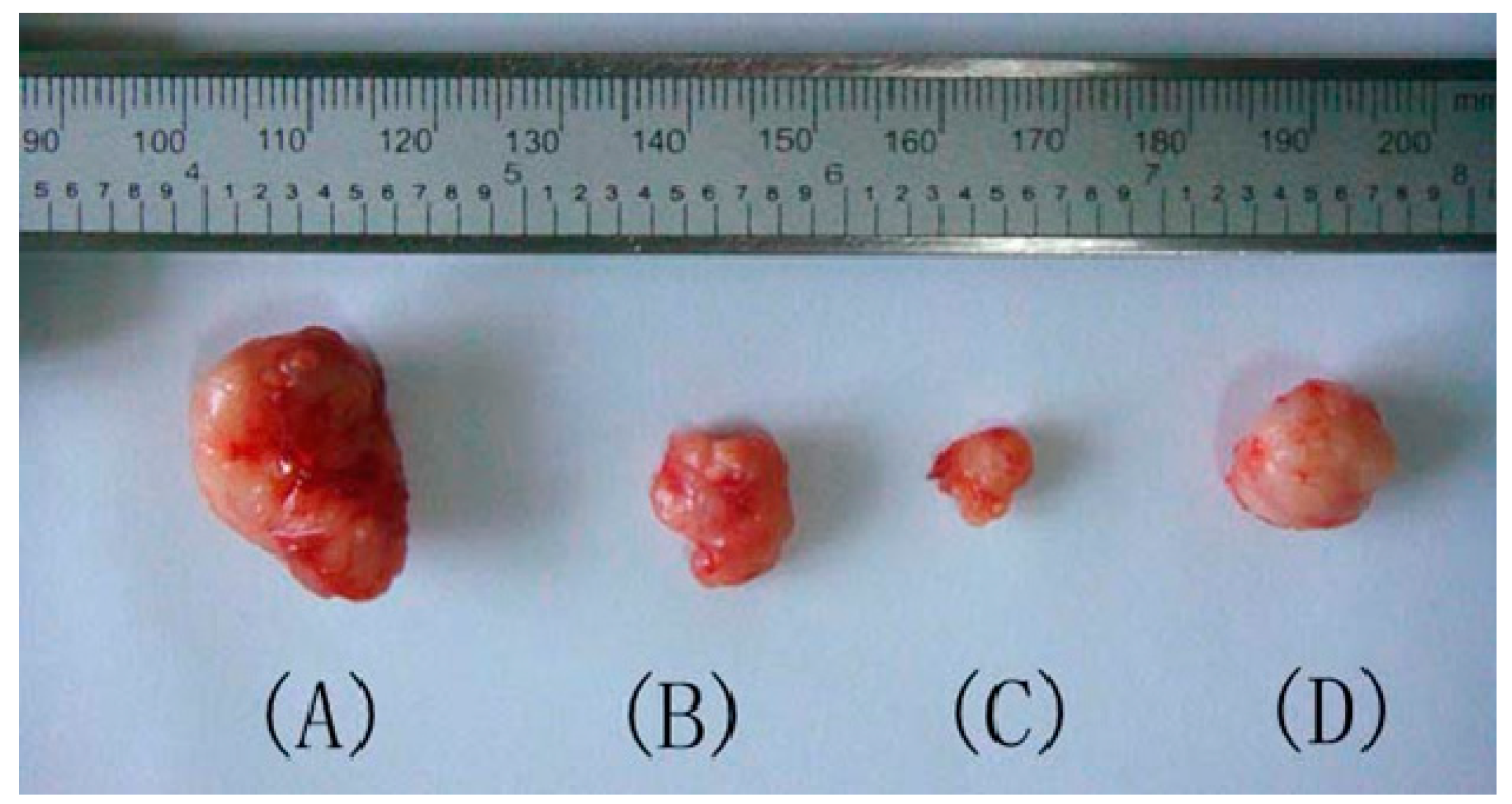 Molecules 19 17715 g002