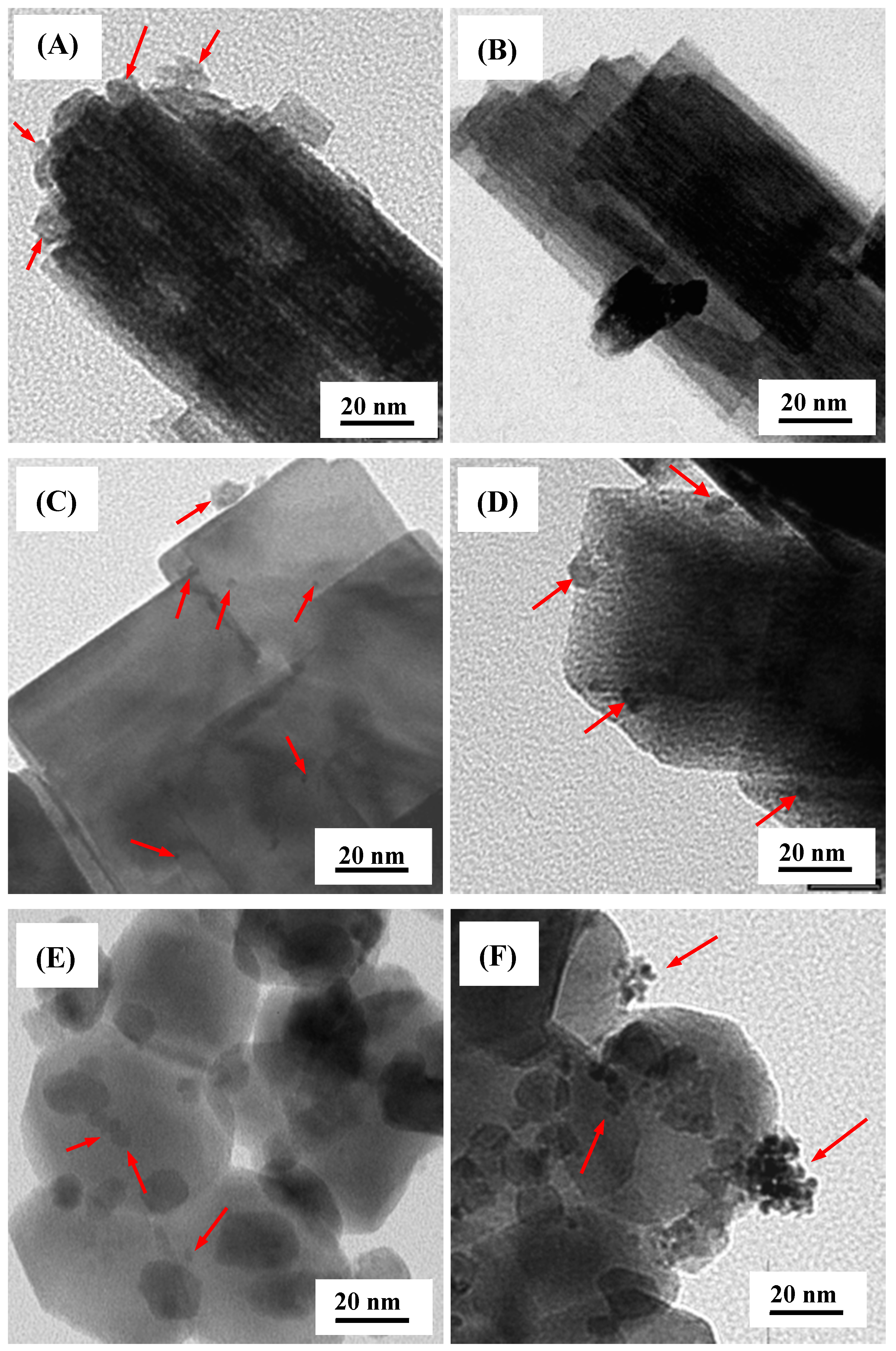 Molecules 19 17747 g002