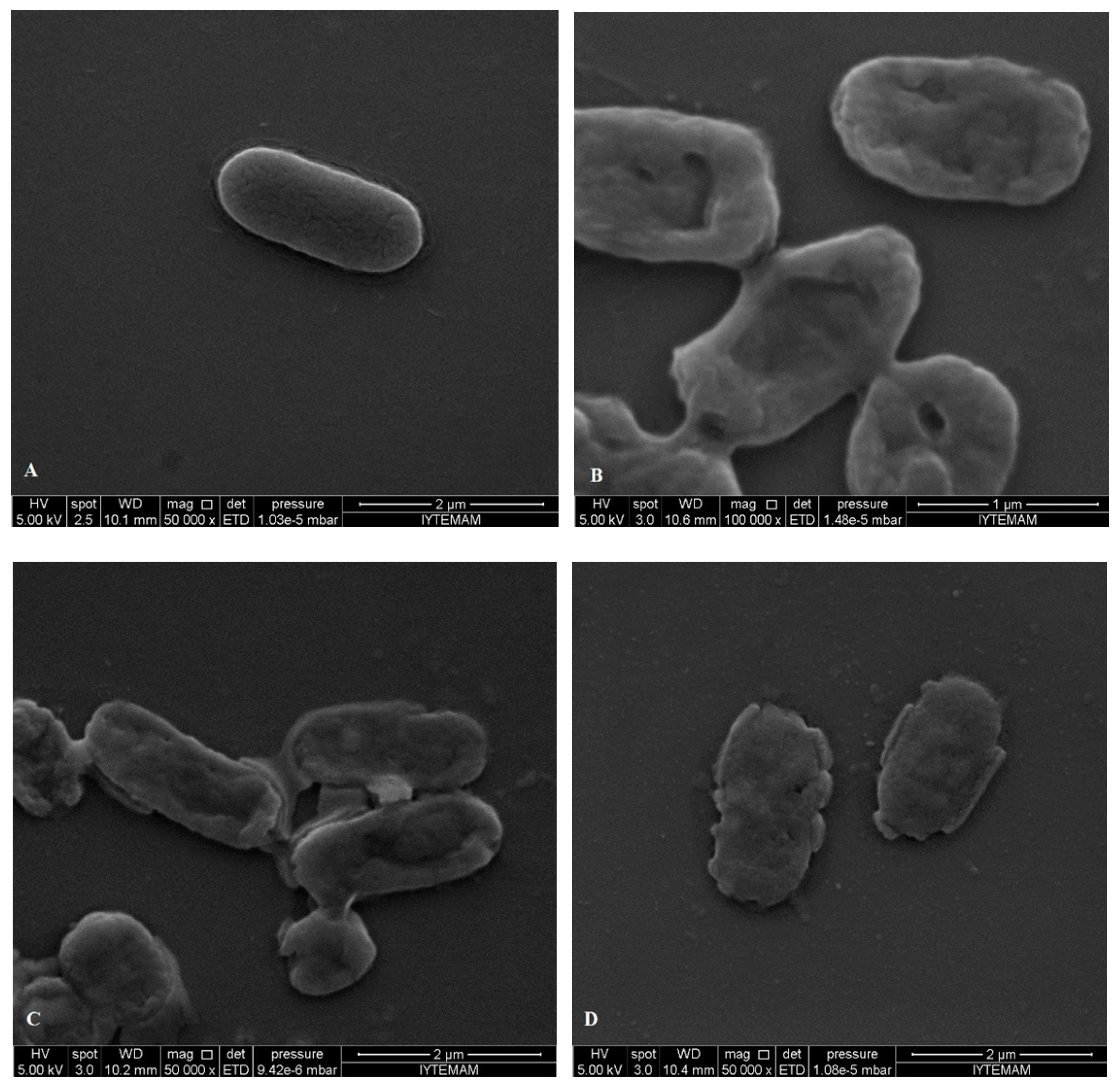 Molecules 19 17773 g006