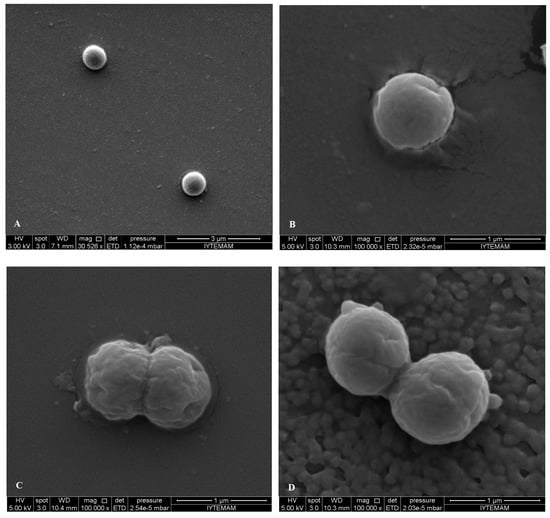 Molecules 19 17773 g007 550