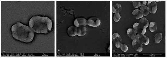 Molecules 19 17773 g008 550