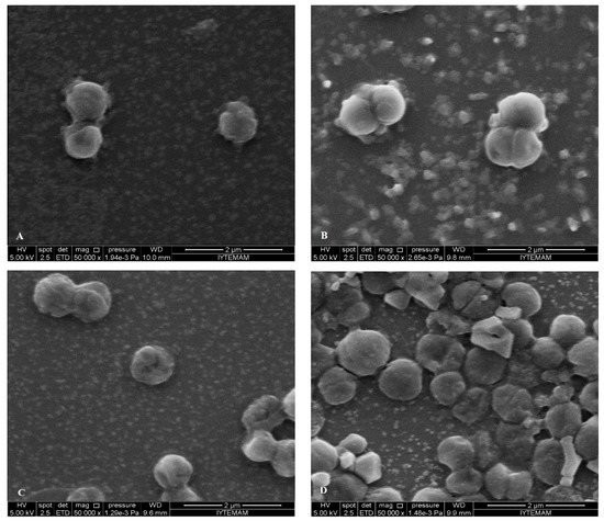 Molecules 19 17773 g009 550