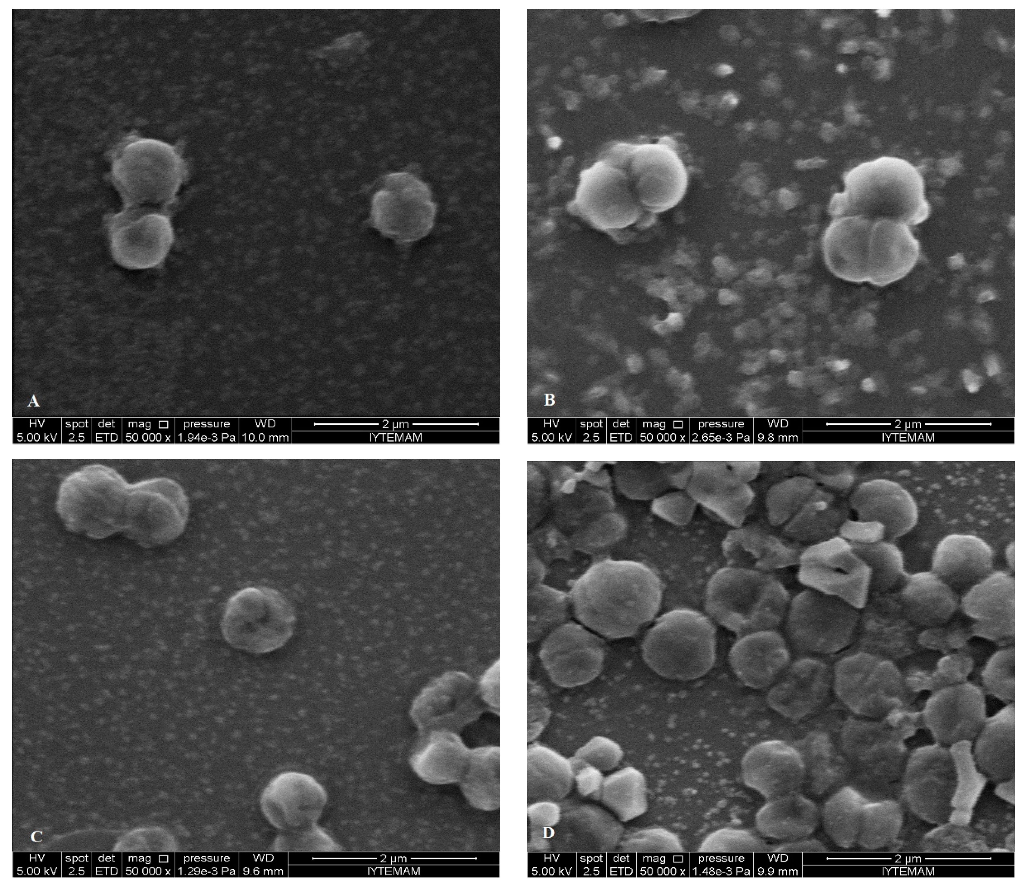 Molecules 19 17773 g009