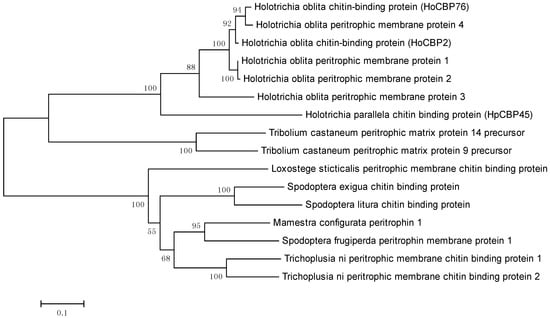 Molecules 19 17799 g003 550