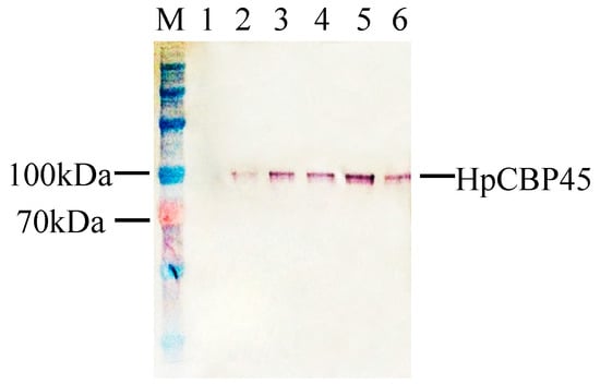 Molecules 19 17799 g004 550