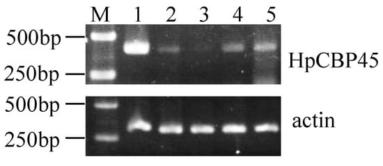 Molecules 19 17799 g006 550