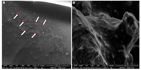 Molecules 19 17848 g008 550