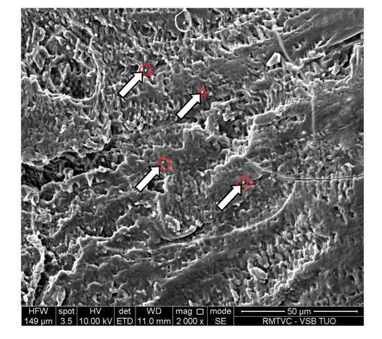 Molecules 19 17848 g010 550